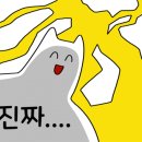 육회한녀석들 이미지