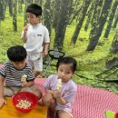 프라임어린이집 이미지