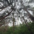 새복부동산중개 | [공지] 구미 금오산 등산코스 후기｜현월봉 정상석 2개·약사암·도선굴 원점회귀 코스