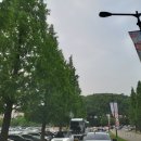 비트공인중개사사무소 이미지