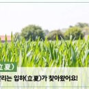 입하