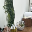 밀스칼프 | 대구 밀스칼프 두피케어 후기 | 두피 열감 내려가고 머리카락에 힘이 생겼어요