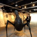 센츄럴관광호텔 이미지