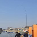 강화선두바다낚시터 | 강화 선두바다낚시터 올해 첫 노지 도전 두 자릿수 성공 후기ㅡ영상포함