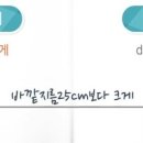 픽토그램(PICTOGRAM)