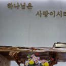 11월 10일 절화 국화로 화병에 이미지