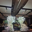 노보텔 앰배서더 수원 | Wedding_04-4) 노보텔 앰배서더 수원 웨딩홀 하객 후기 | 호텔 예식 홀 코스 주차