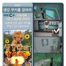 하남시디지털도서관 | 하남 미사 아이와 가볼만한 곳) 하남 미사 하남시디지털도서관 위치 및 실감콘텐츠 이용 예약, 닌텐도...