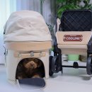 글로리아 켄넬 이미지