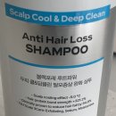파워 앤 영양 | 코스트코샴푸 대용량샴푸 추천 블랙포레 루트파워 쿨 앤 딥클린 탈모증상완화샴푸 후기