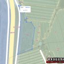 백호공인중개사사무소 이미지
