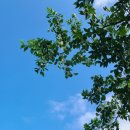 치상농장 이미지