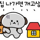 청계호수 자작나무숲 캠핑장 이미지