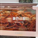 매천 | 대구 매천시장 홍게 방어 대게 시세 내돈내산 후기