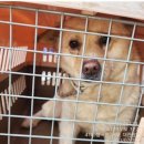 봉곡동042 이미지