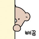 린전자담배