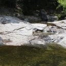 고란길(길안면) 이미지