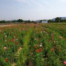 소중농원 이미지