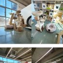 동물보육원 고양지부 이미지