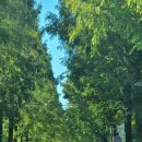 오크(OAK)베이커리카페 이미지