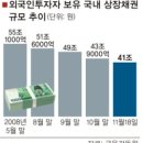 채안과 Daum카페