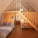 소나무세상 이미지