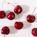 체리 이미지