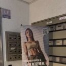 노크강남 이미지