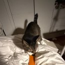 아가방성서이마트체인 | 25 September