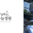 청화산하늘정원 이미지