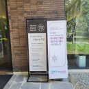 헤일로92 이미지