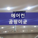 폴리파크 봉곡점 네이버블로그