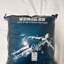 웜포레스트 이미지