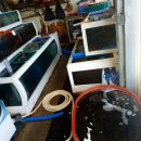 대왕회식당 이미지