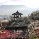 설렘한스푼 이미지