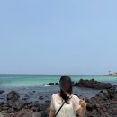 (유)동부렌트카 | 6월초 2박 3일 제주 여행🍊 [제주 서쪽 여행 코스 정리/ 맛집부터 숙소, 수영 스팟까지🏊/ 여행 경비 공유...