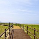 더(The)라온 이미지