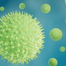 봄꽃한의원 이미지