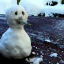 초의선사탄생지(2) 이미지