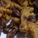 용성통닭 이미지