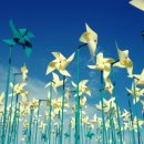 바람개비 이미지