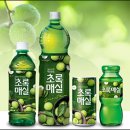 초록디자인 이미지