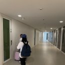 동명수도펌프상공사 | [보라카이] 화이트비치 메인거리 호텔 아스토리아 커런트 후기 (조식, 룸, 수영장, 파라솔 레스토랑)