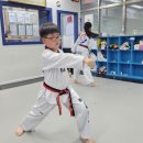 21세기 태권도 이미지