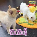 모노모노몽 네이버블로그