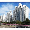 당현천주변 이미지