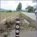 경기옛길 의주길 제4길 파주고을길 이미지