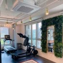 테리스짐 이미지