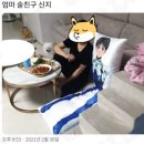 술친구 티스토리