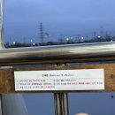 소망 | 소래포구 소망횟집 야장 대하구이/ 생새우 내돈내산 솔직후기